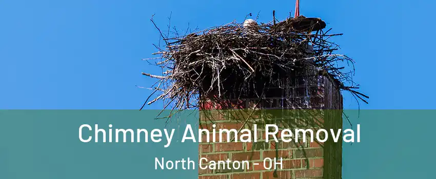 Chimney Animal Removal North Canton - OH