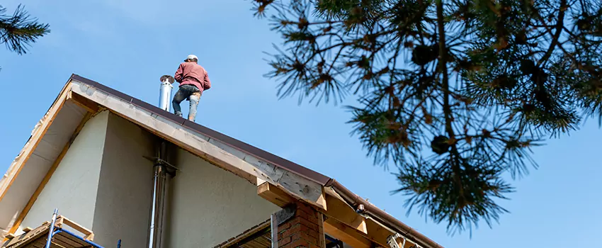 Birds Removal Contractors from Chimney in North Canton, OH
